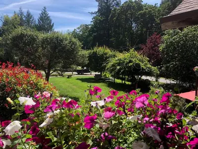 a garden with pink and white flowers and trees at Cole's Bay Vacation Retreat Cole's Bay Suite in YYJ