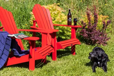 a dog standing next to two chairs and a bottle of beer at Moberly Lodge in Golden