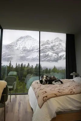 a dog laying on a bed in front of a large window at Skyridge Glamping in Kananaskis Village