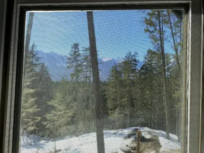 a window with a view of a snow covered forest at Alder House in Golden