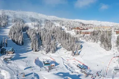 an aerial view of a ski slope with snow and trees at Southpoint 25 Two Bdrm Ski In Out w Hot Tub in Big White