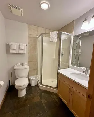 a bathroom with a toilet and a shower and a sink at Canmore Mountain View Escape in Canmore