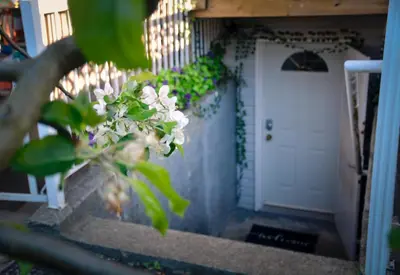 a plant with white flowers next to a white door at Calm, cozy, urban, family-friendly stay in Vancouver