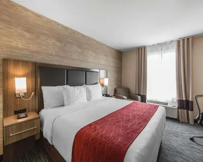a hotel room with a large bed and a window at Comfort Inn & Suites Airport North in Calgary