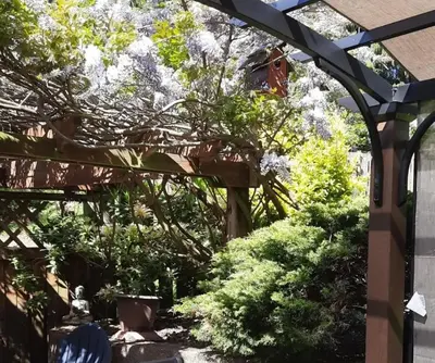a garden with a wooden pergola and plants at Simply Suite - Sua Casa Longe de Casa in YYJ
