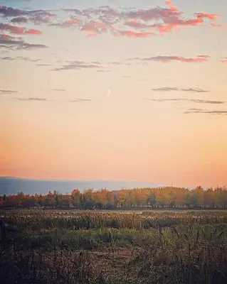 a sunset over a field with trees in the background at Everlong Acres Belle Tent in Owlseye