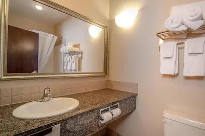 a bathroom with a sink and a mirror and a toilet at Canalta High River in High River