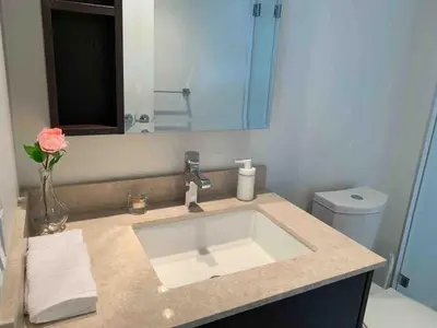 a bathroom with a sink and a vase with a flower at Amazing brand new 2bedr&2bathr in Richmond center in Richmond