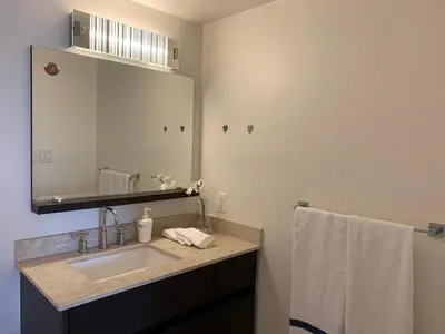 a bathroom with a sink and a large mirror at Amazing brand new 2bedr&2bathr in Richmond center in Richmond