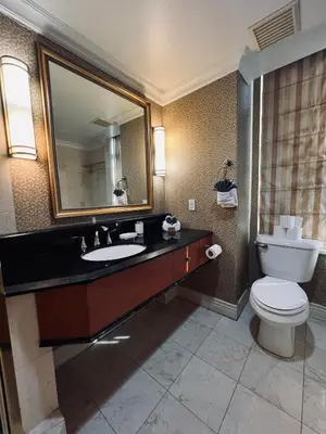 a bathroom with a toilet and a sink and a mirror at Executive Penthouse Suite, Downtown Vancouver in Vancouver