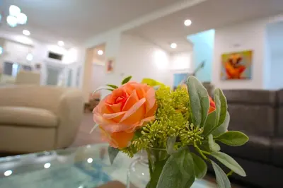 a vase with a orange rose on a table at Peaceful Coquitlam Escape, Modern New Home, Minutes to Transit in Coquitlam