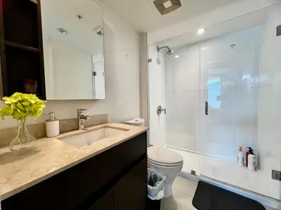 a bathroom with a shower and a sink and a toilet at Fantastic and comfortable 2B2B center of Richmond in Richmond