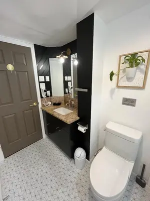 a bathroom with a toilet and a sink and a mirror at Old Forest Resort Suite Heated Pool Hot Tub Sauna Beach Vancouver Island in Nanoose Bay