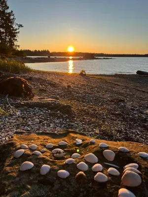 a group of rocks on a beach at sunset at Old Forest Resort Suite Heated Pool Hot Tub Sauna Beach Vancouver Island in Nanoose Bay