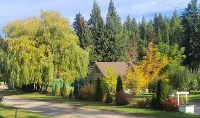 a house in the middle of a yard with trees at Cozy Cabin, 2 min to the HWY1 in Tappen
