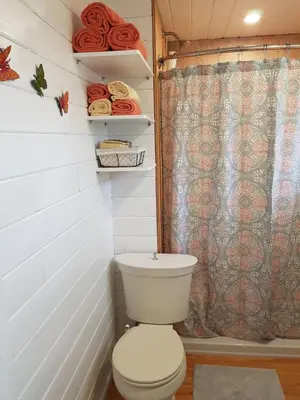 a bathroom with a toilet and a shower at Cozy Cabin, 2 min to the HWY1 in Tappen