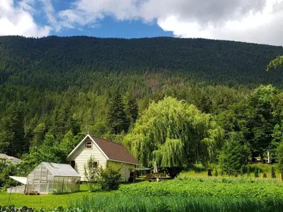 a house in a field with a mountain in the background at Cozy Cabin, 2 min to the HWY1 in Tappen