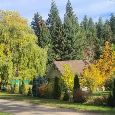 Cozy Cabin