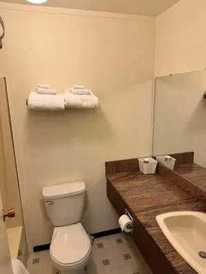 a bathroom with a toilet and a sink and a mirror at Fortunes Landing Motor Inn in Enderby