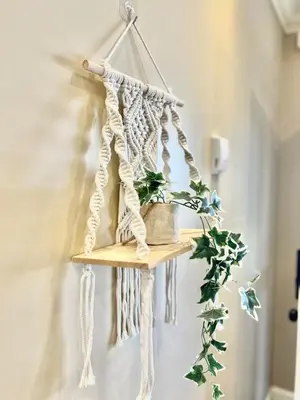 a wooden shelf with a plant on a wall at Central & Comfy 1B1B in Vancouver