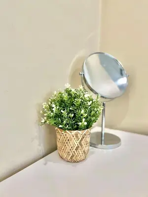 a plant sitting on a table next to a mirror at Central & Comfy 1B1B in Vancouver
