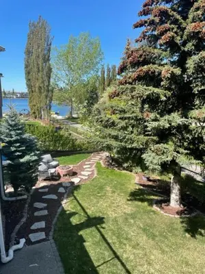 a garden with a tree and a bench on the grass at Calgary Lake House B&B in Calgary
