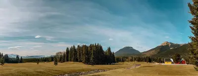 a field with trees and mountains in the background at Eagle - Cozy tiny home with mountain views in Nordegg
