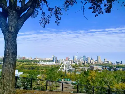 a view of a city from a park with a tree at Condo Unit-UofA, UofA Hospital, Whyte Ave, Trails! in Edmonton