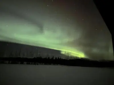 an aurora in the sky at night with trees at Mezzanine Loft Above the Barn in Whitehorse