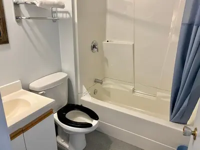 a bathroom with a toilet and a sink and a shower at Valemount Hotel in Valemount