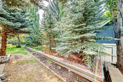 a garden with pine trees and a fence at Cozy bedroom in quiet community in Calgary