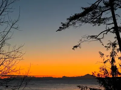 a sunset over the ocean with trees in the foreground at Sea 'N' Stars BNB in Gabriola