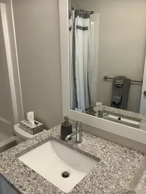 a bathroom with a sink and a mirror at Welcome to the Cozy Studio in Kelowna