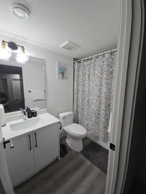 a bathroom with a toilet and a sink and a mirror at 2 bedroom cozy suite in NW edmonton with separate entrance, FreeWifi, driveway Parking, Netflix, AC, airport pickup in Edmonton