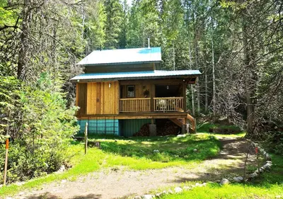 a house in the middle of a forest at Logden Lodge in Nelson