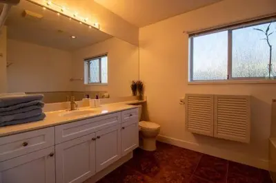a bathroom with a sink and a toilet and a mirror at Serene Garden Suite in Delta