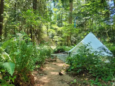 a tent in the middle of a forest at Gibsons Creek RV Resort and Campground in Gibsons