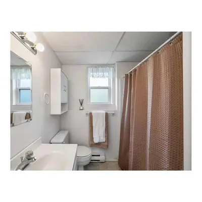 a bathroom with a toilet and a sink and a shower at Youbou Lakefront Getaway Relax And Unwind in Youbou
