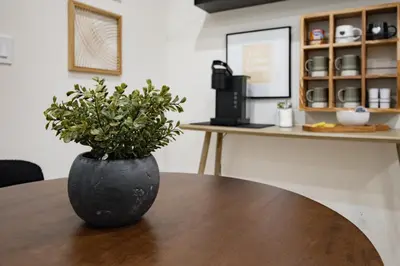 a black vase sitting on a table with a plant at 1 BR Suite Stylish Coffee Station Stocked sleep 4 in Edmonton