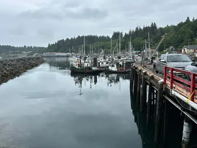 a marina with alot of boats in the water at Sweet Home Alert Bay in Alert Bay