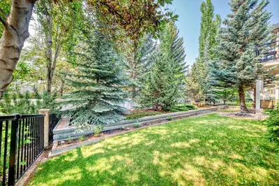 a yard with a fence and trees at cozy two bedrooms with external bathroom just for you in Calgary