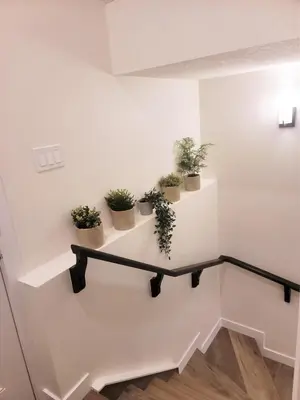 a staircase with potted plants on the wall at Lovely Modern 2 Bedroom Basement Suite in Edmonton