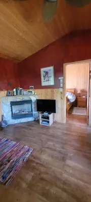 a living room with a fireplace and a bed at Beautiful Cabin near Radium Hot Springs with private hot tub in Radium Hot Springs