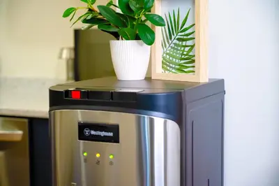 a potted plant sitting on top of a microwave at Renovated Suite in WL, 5 Min to Downtown, All New Appliances, Self Check-In in Williams Lake
