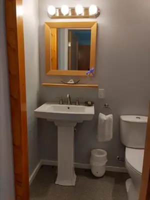 a bathroom with a sink and a mirror and a toilet at Beatrice Place in Slocan