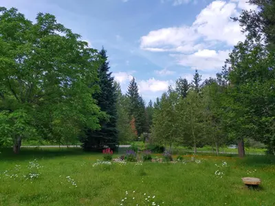 a green field with flowers and trees in a park at Beatrice Place in Slocan