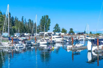 a bunch of boats are docked in a marina at I Beach You To It in Oyster Bay