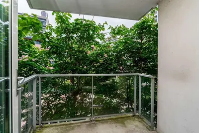 a view of a tree from a balcony at Spacious Downtown Condo with Pool Gym & Parking in Vancouver