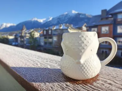 a white vase sitting on top of a roof at Canmore Top Floor Loft-Style Retreat in Canmore