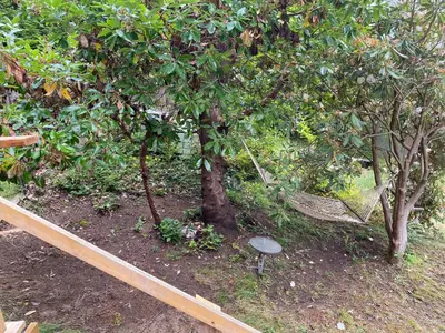 a swinging bench under a tree in a garden at Cedar House Ocean View & Access in Roberts Creek